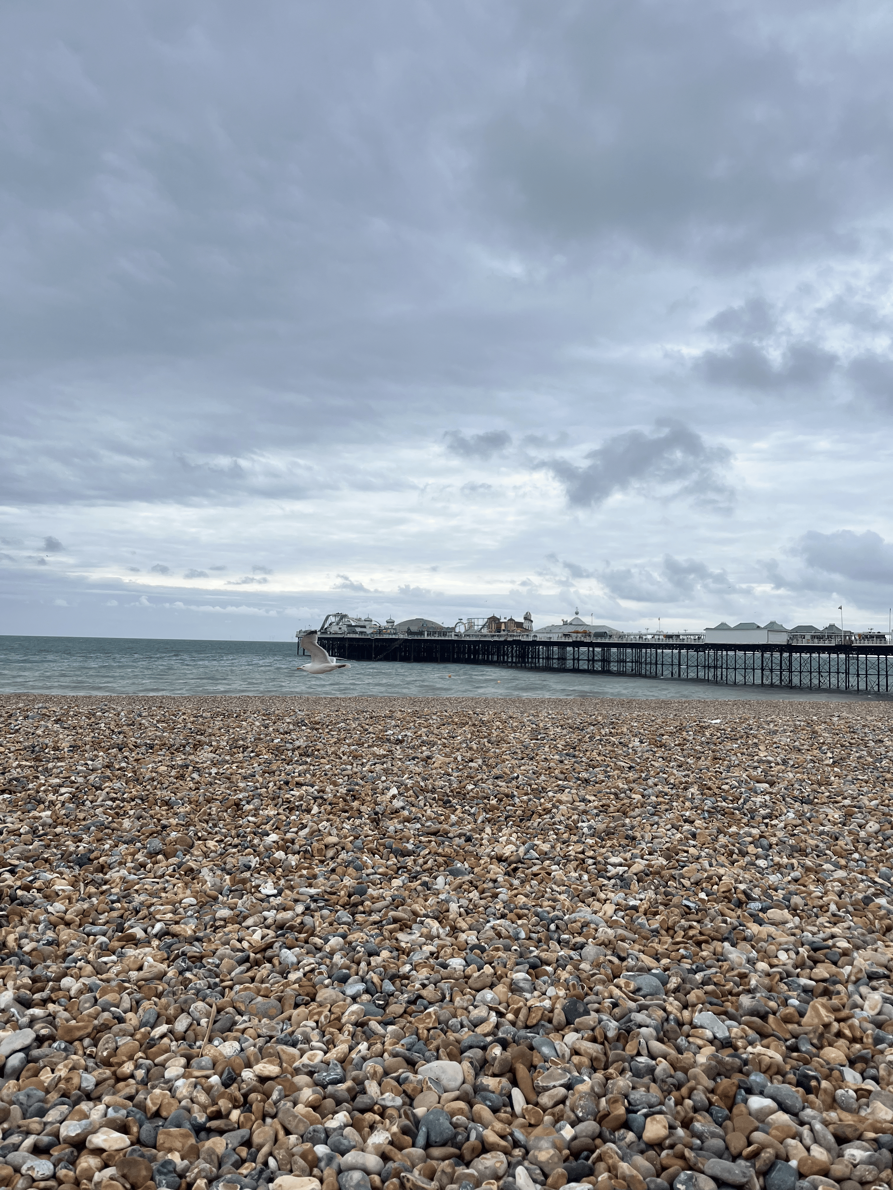 Eastbourne Family Arrives At Beach With Enough Equipment To Establish Permanent Settlement